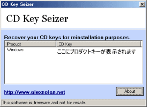 CD Key Seizer